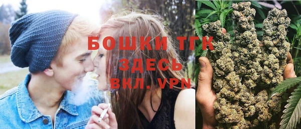 стаф Арсеньев