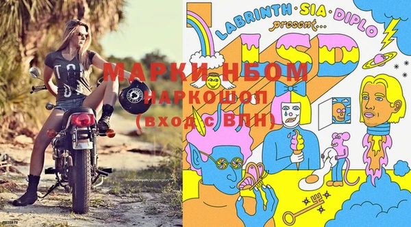стаф Арсеньев