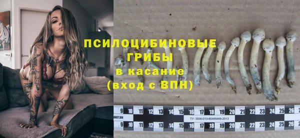 тгк Армянск
