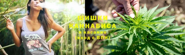 ГАЛЛЮЦИНОГЕННЫЕ ГРИБЫ Навашино