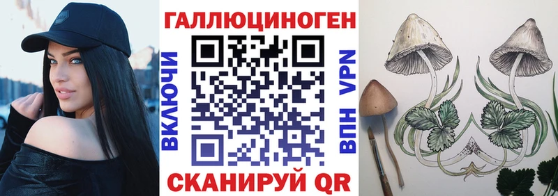 как найти закладки  Орёл  Псилоцибиновые грибы ЛСД 
